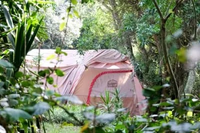 Camping Ground Overview