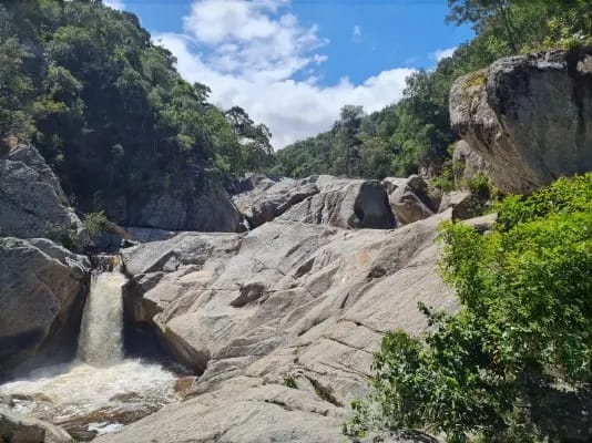 Half Collared Kingfisher Trail